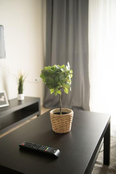Markopoulosapartments Nea Moudania Ngoại thất bức ảnh